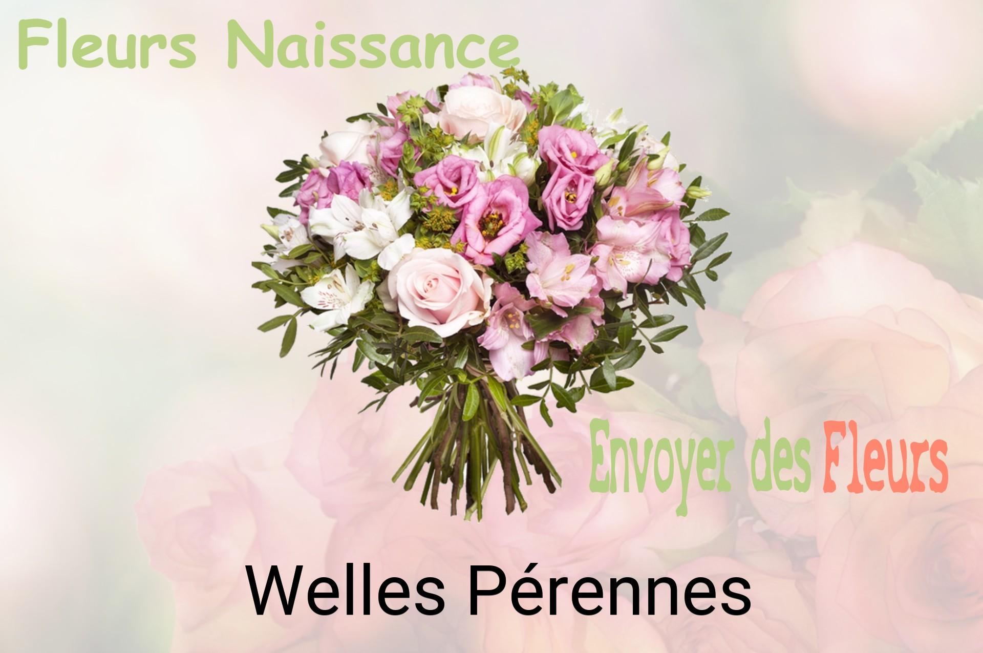 Bouquet de fleurs de naissance livré à Welles-Pérennes